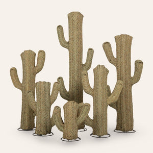 cactus esparto vegetal set