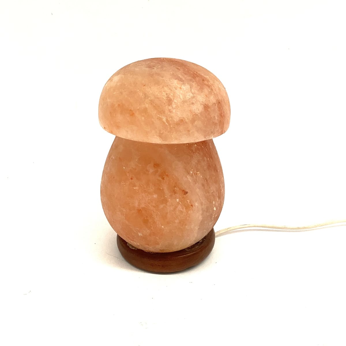 Modell eines Himalaya-Salzlampenpilzes