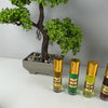 Perfumes árabes concentrados Deluxe esencia